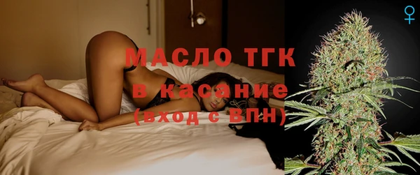 гашик Переславль-Залесский