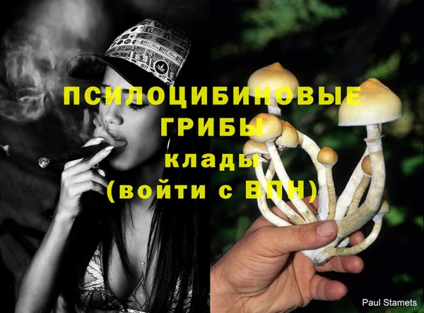 тгк Осинники