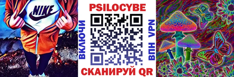 omg рабочий сайт  Серов  Галлюциногенные грибы MAGIC MUSHROOMS 