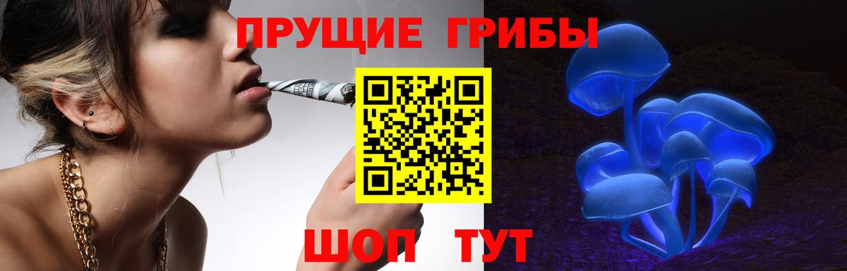 Серов  Псилоцибиновые грибы Cubensis  Вход с VPN  Псилоцибиновые грибы MAGIC MUSHROOMS 
